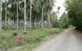 2.5 Hectare Farm Lot at Gitagum, Misamis Oriental
