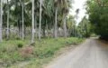 2.5 Hectare Farm Lot at Gitagum, Misamis Oriental