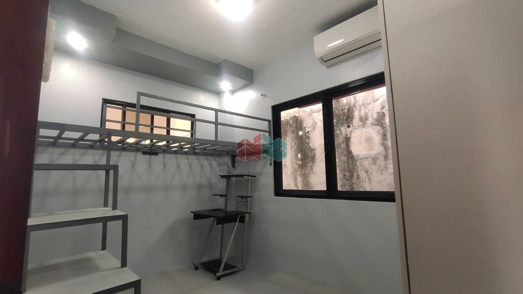 Demafilis HBP TriStone 25